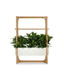 ARCHIE planter ARCHIE planter