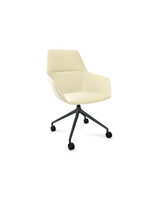 Ray Soft Medium Back Chair