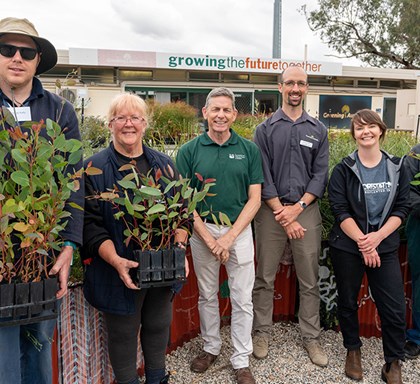 Tree Program Update