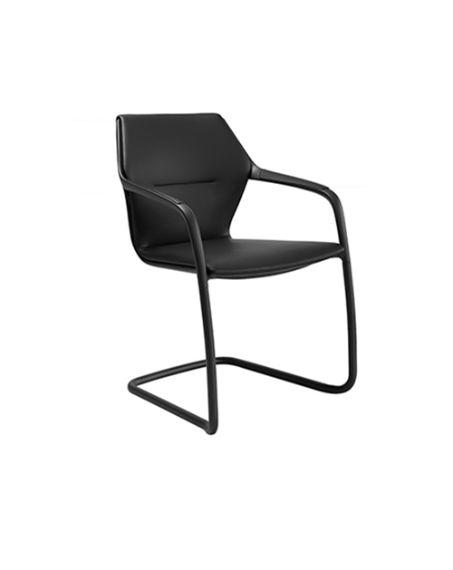 Ray Leather Cantilever chair