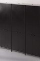 Cupboard Tall Unit 4