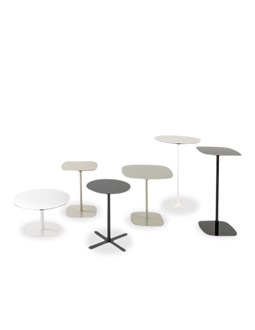 LOTTUS table LOTTUS table
