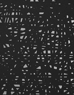 RAYS hanging divider RAYS hanging divider