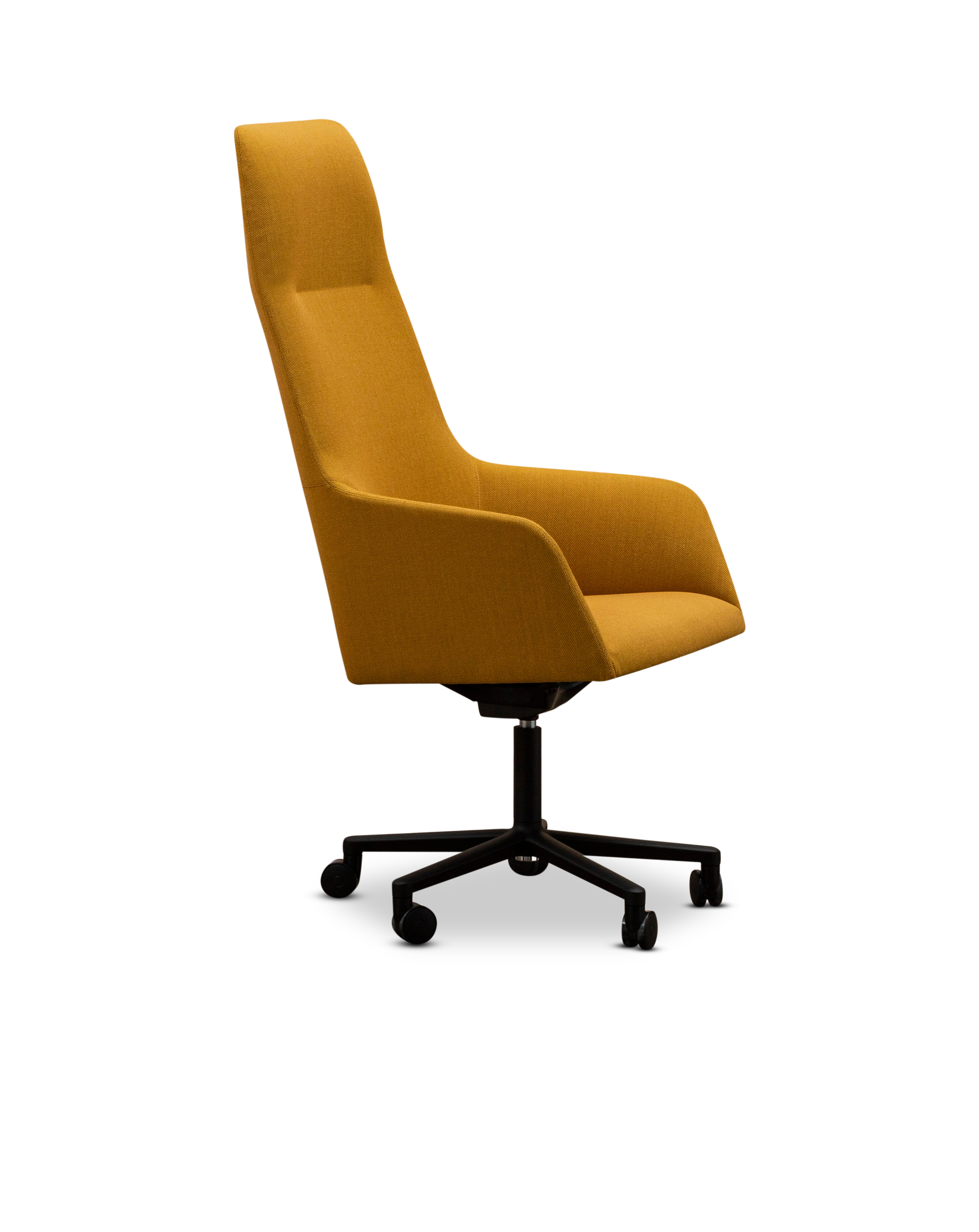 Alya Executive