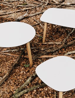 LOTTUS table LOTTUS table
