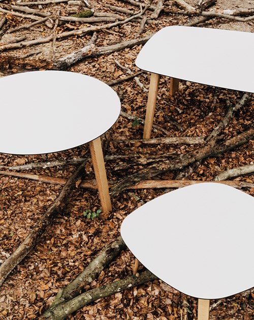 LOTTUS table