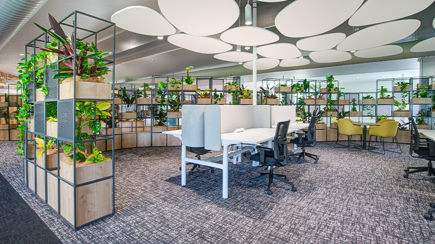 Case Study: Biophilic Bliss at Southern Cross University Lismore