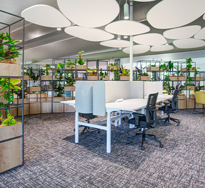 Case Study: Biophilic Bliss at Southern Cross University Lismore